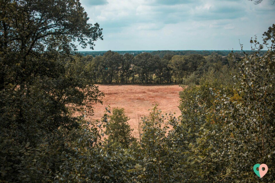 Galgenvenn Aussicht auf Feld