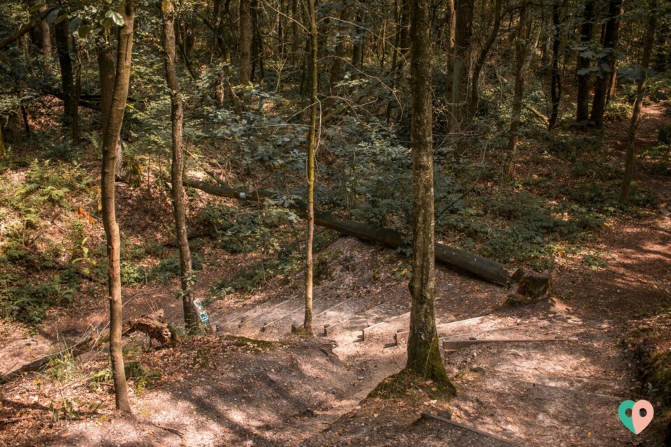 Premium Wanderweg Galgenvenn