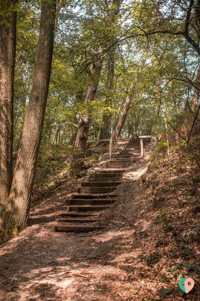Premium Wanderweg Galgenvenn