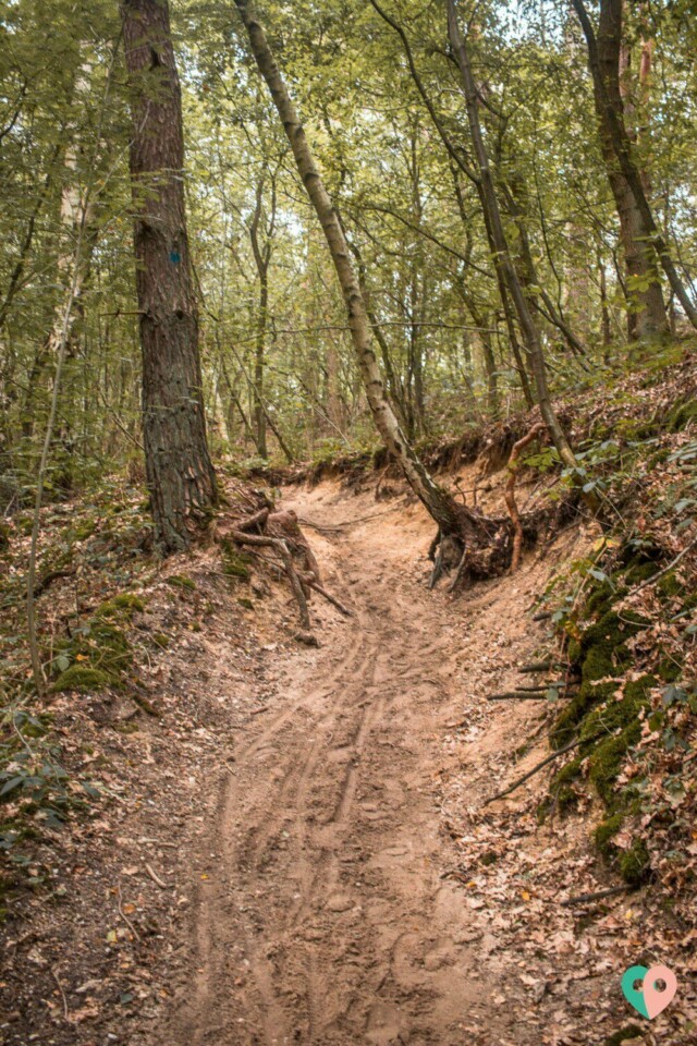 Premium Wanderweg Galgenvenn