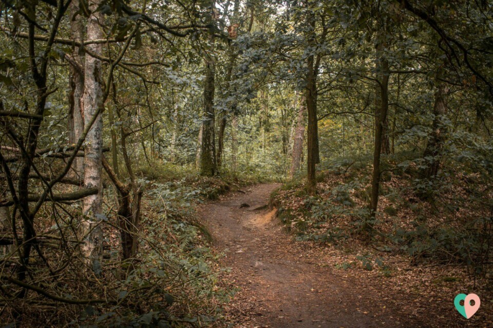 Premium Wanderweg Galgenvenn