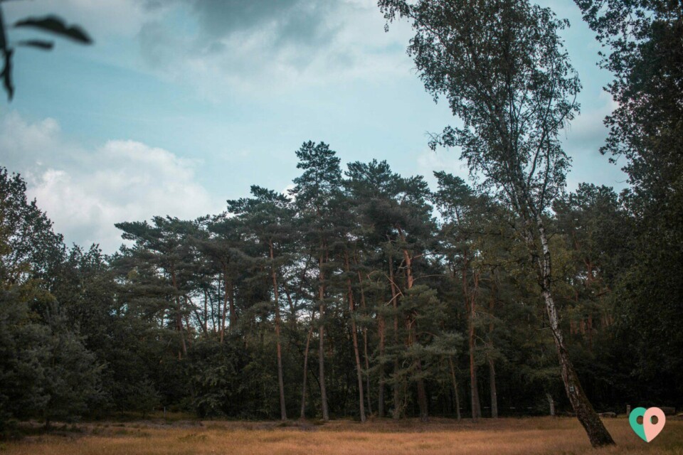 Premium Wanderweg Galgenvenn
