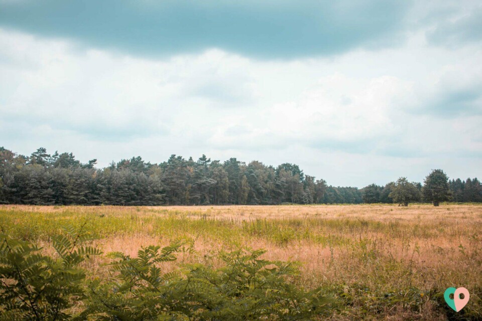 Premium Wanderweg Galgenvenn