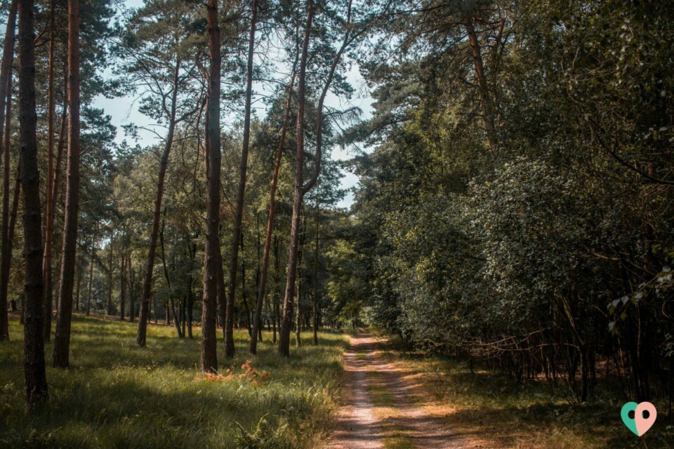 Premium Wanderweg Galgenvenn