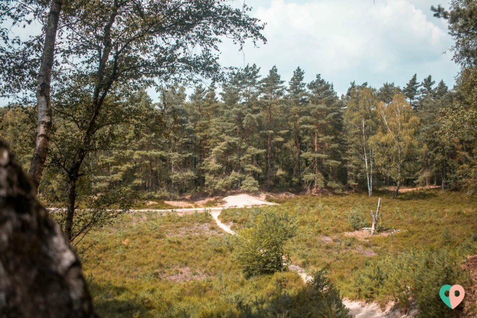 Premium Wanderweg Galgenvenn