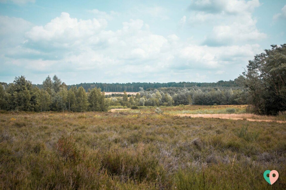 Premium Wanderweg Galgenvenn