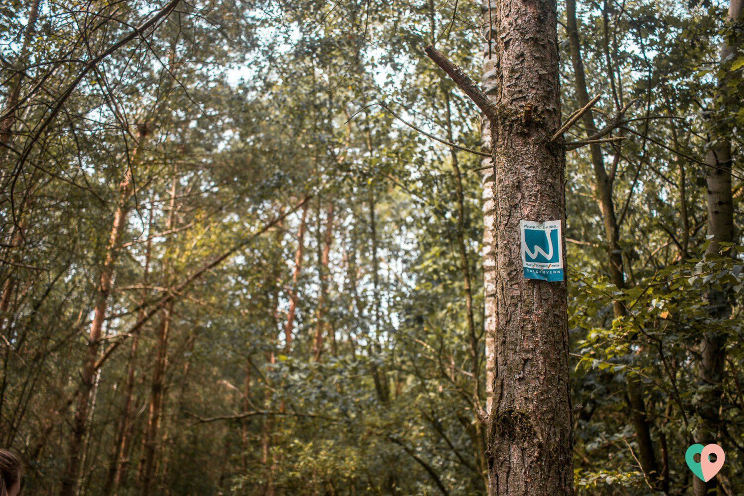 Der Premium-Wanderweg Galgenvenn am Niederrhein