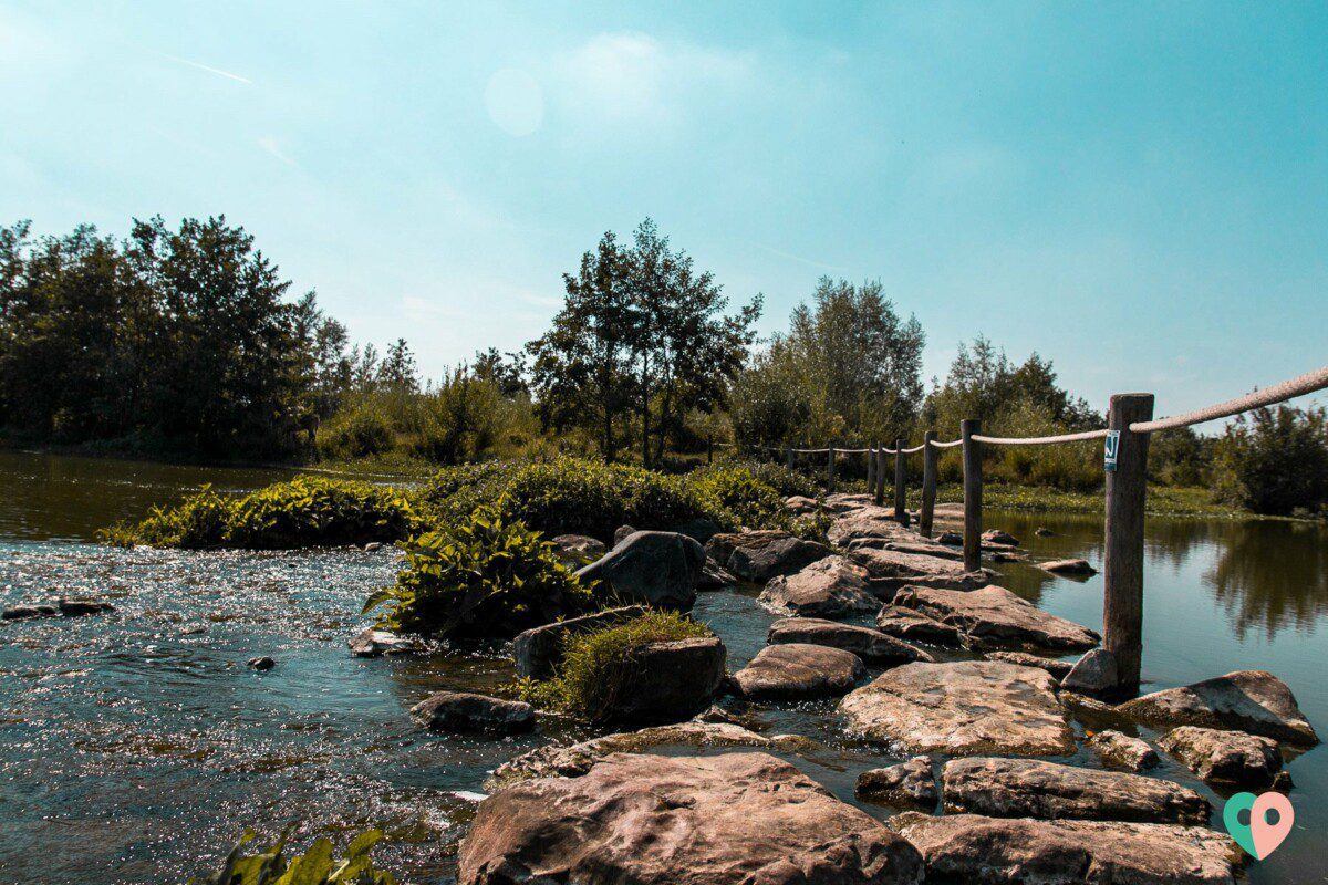 Premium Wanderweg Molenplas - Trittsteine