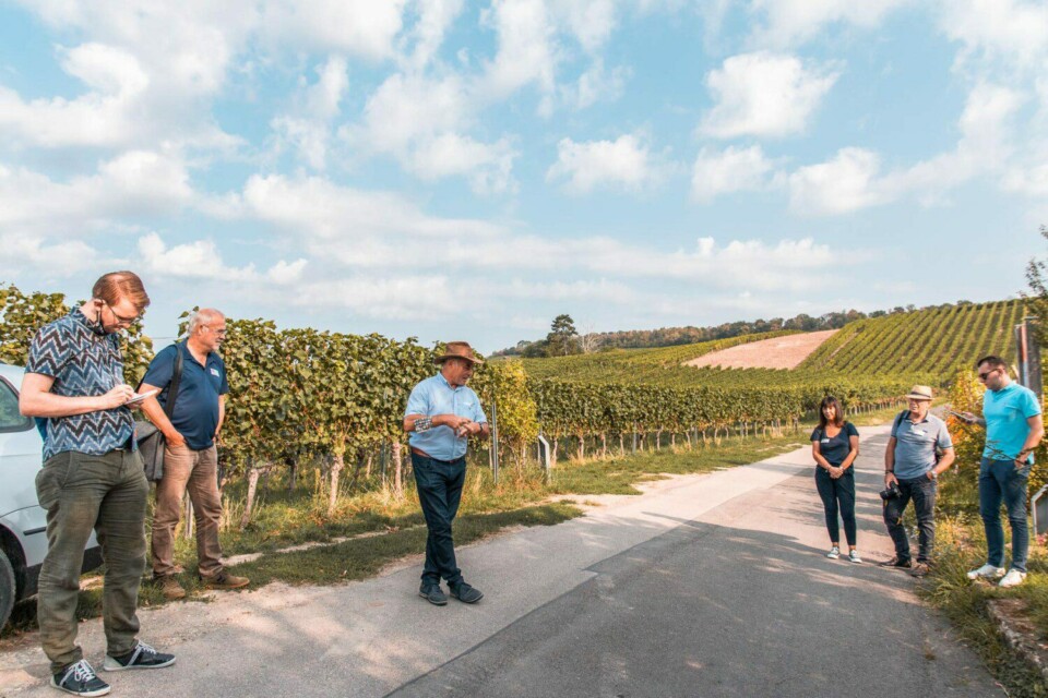 Wein-Panorama-Weg in Heilbronn