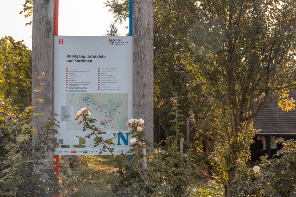Wein-Panorama-Weg