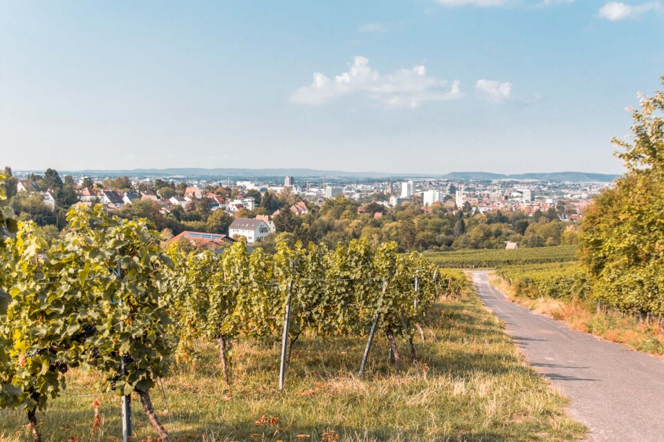 Aussicht vom Wein-Panorama-Weg in Heilbronn