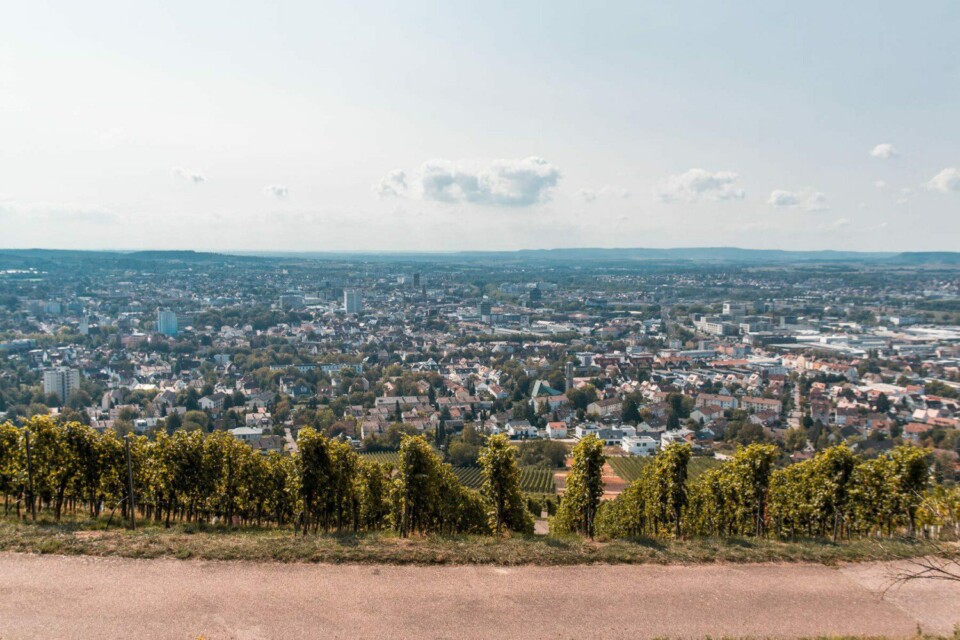 Wein-Panorama-Weg in Heilbronn