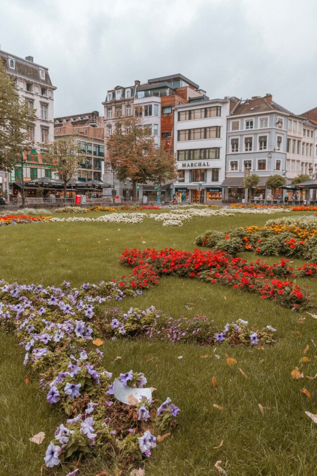 Blumen vor der St.-Pauls-Kathedrale in Lüttich