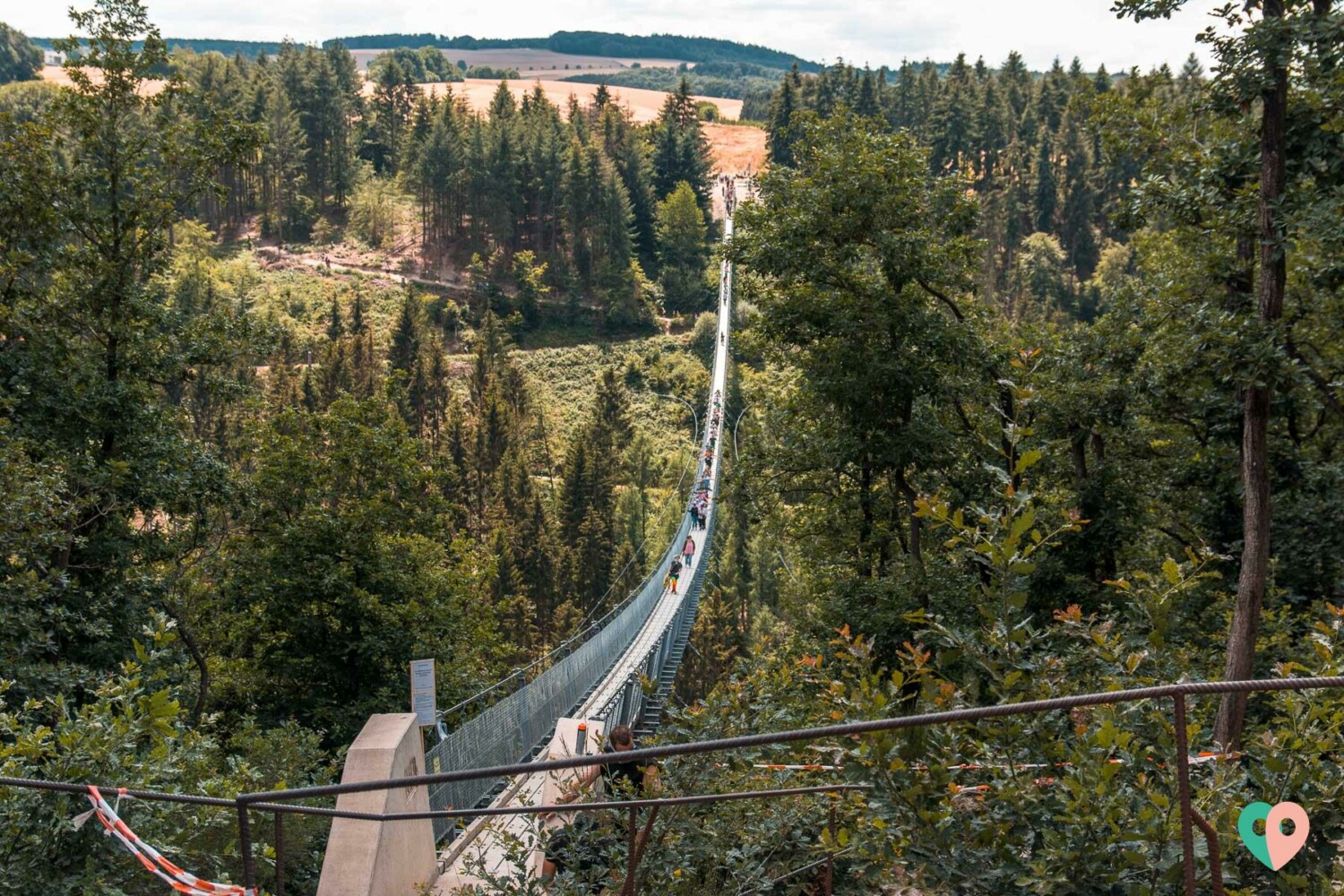 Mosel Sehenswürdigkeiten – diese Orte sollte man gesehen haben!