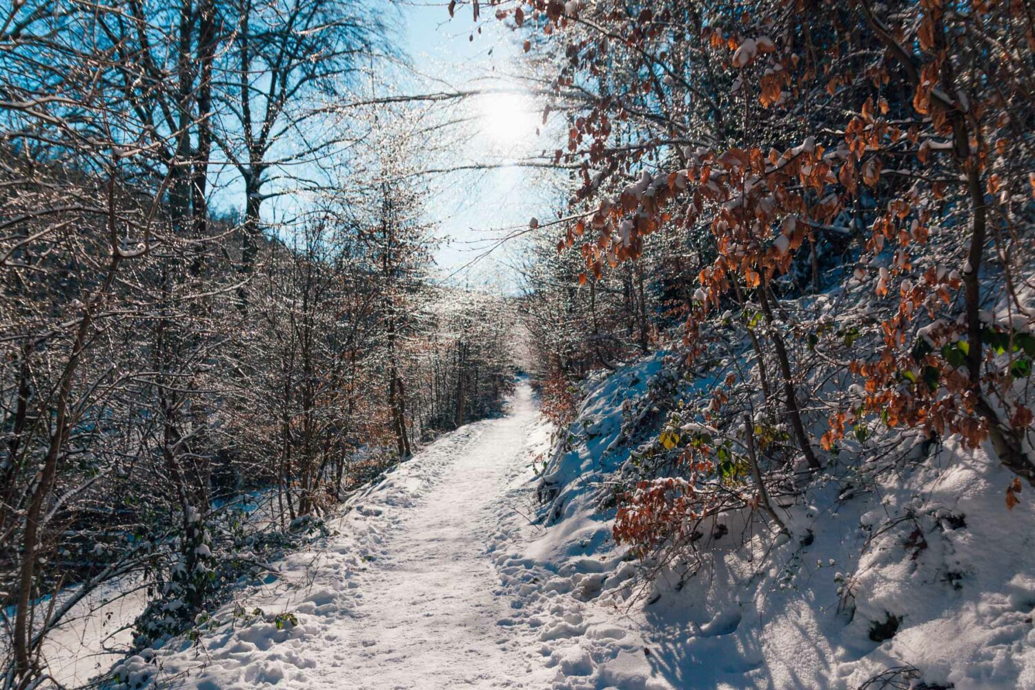 Winter-Wanderung auf dem 3-Türme-Weg in Hagen
