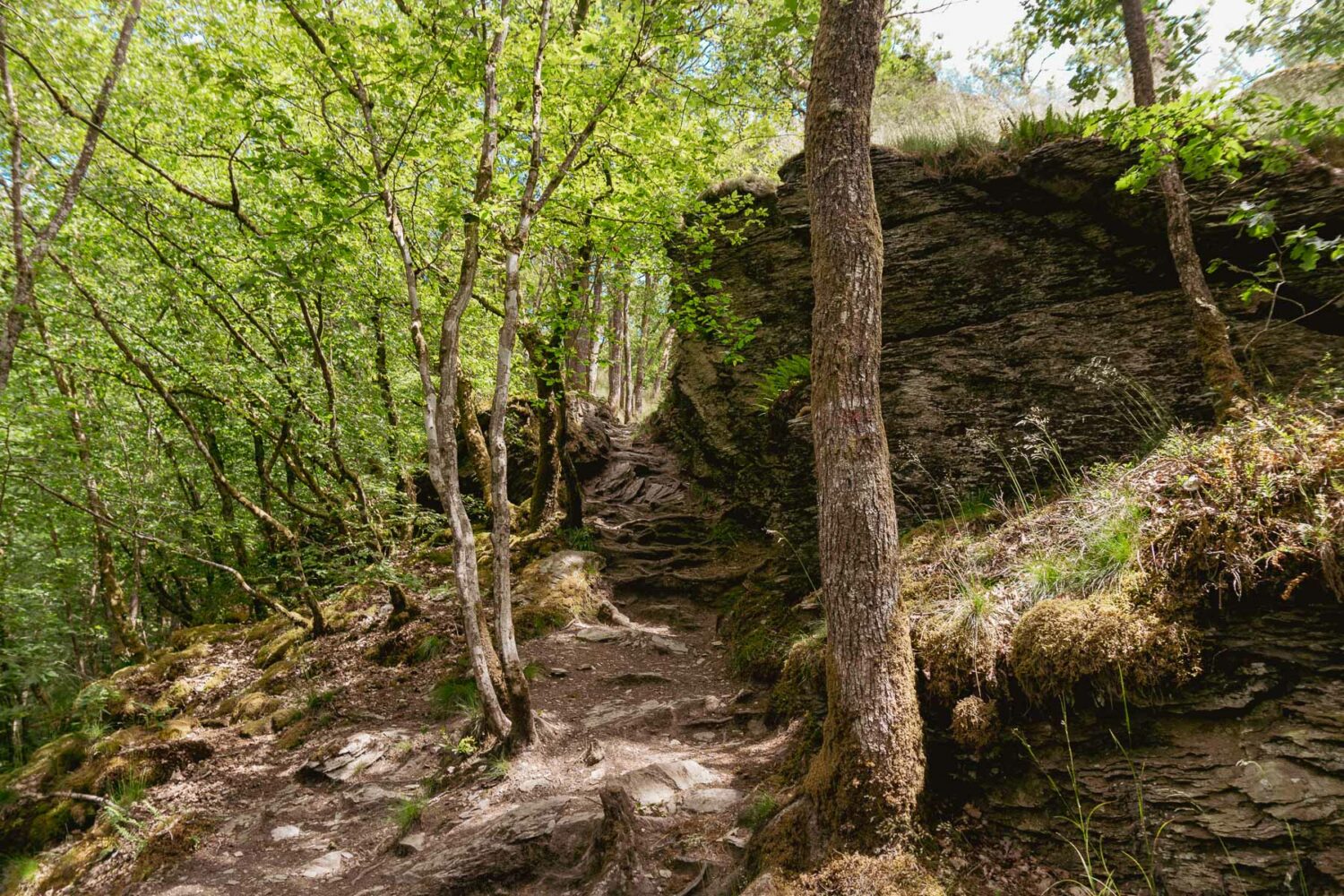 Wandern in den belgischen Ardennen – von Corbion zu den Klippen von Frahan