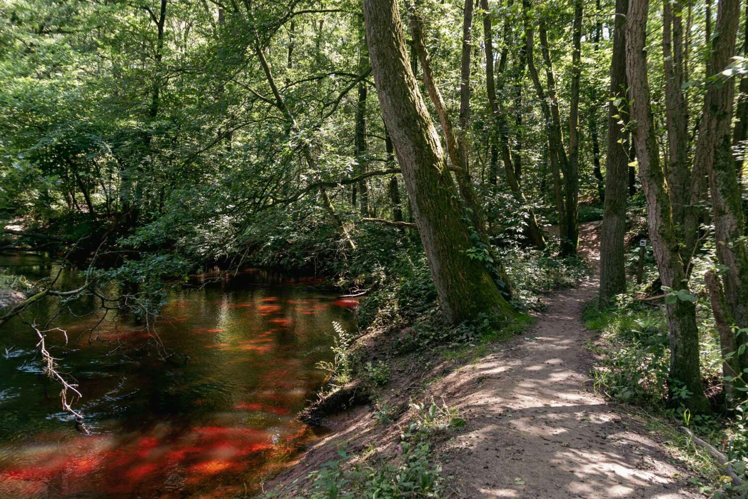 Der Premium-Wanderweg Het Leudal am Niederrhein