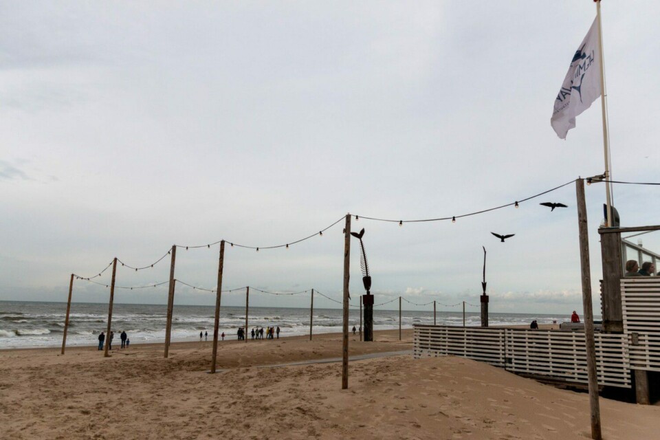 Bergen aan Zee