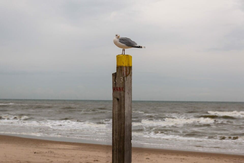 Bergen aan Zee