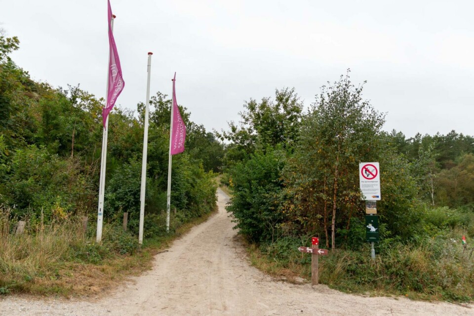Wandern in den Schoorlse Duinen