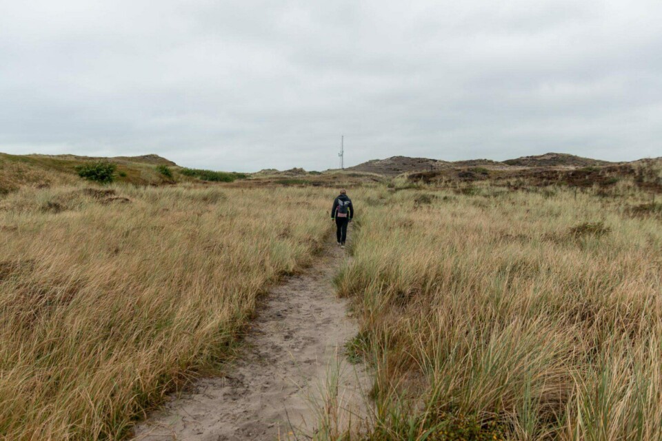 Wandern in den Schoorlse Duinen
