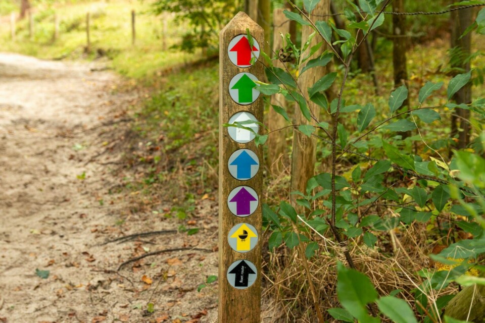 Wandern in den Schoorlse Duinen
