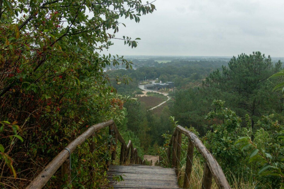 Wandern in den Schoorlse Duinen