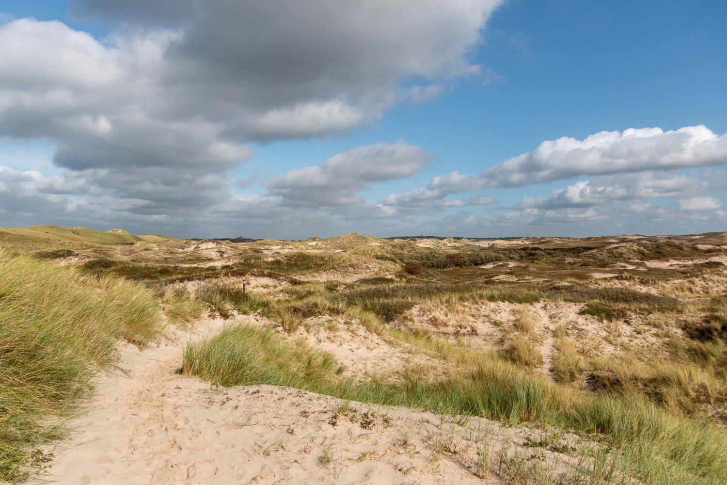 Urlaub in Nordholland – Tipps für Ausflüge & Aktivitäten