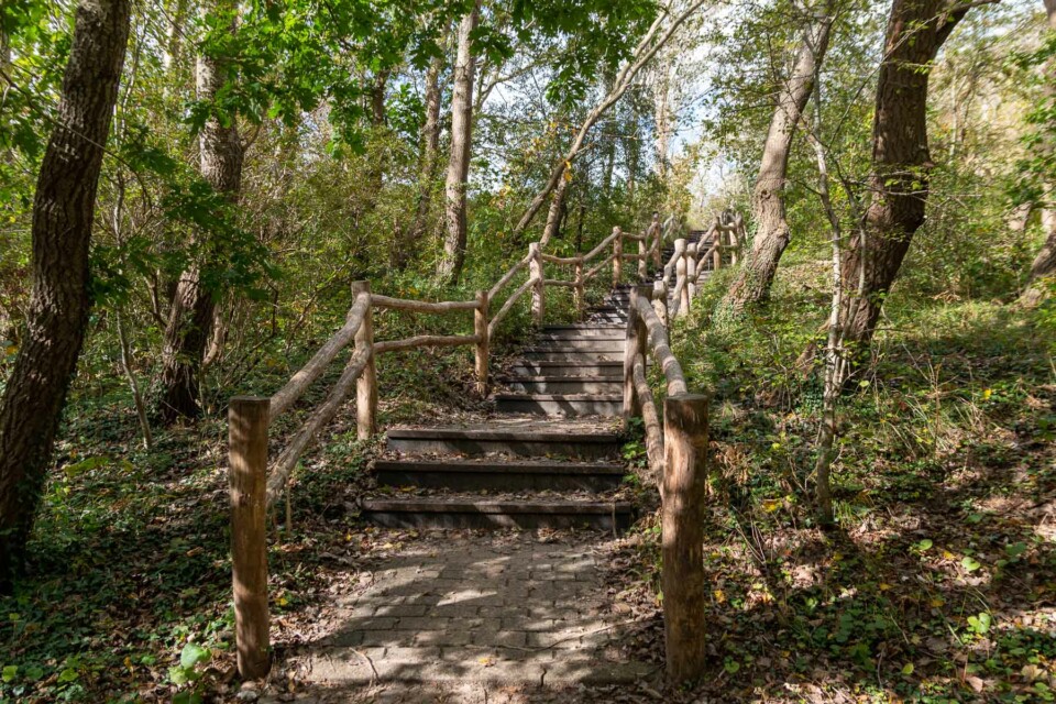 Wandern im Noordhollands Duinreservaat bei Egmond aan Zee