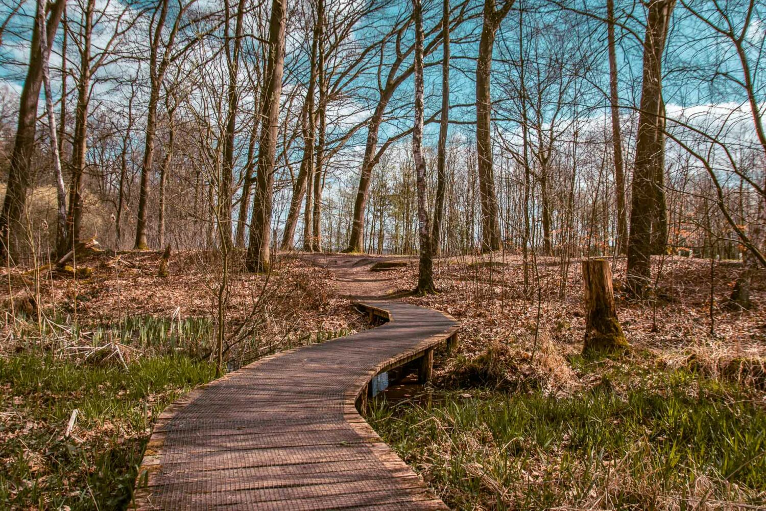 Elmpter Schwalmbruch – Premium-Wanderweg der Wasser.Wander.Welt