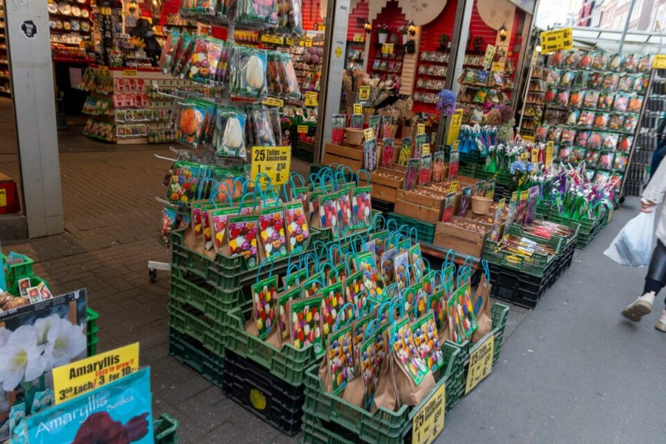 Bloemenmarkt in Amsterdam