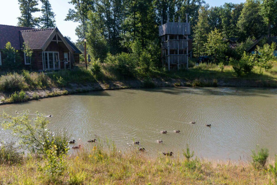 Ententeich im Efteling Loonsche Land