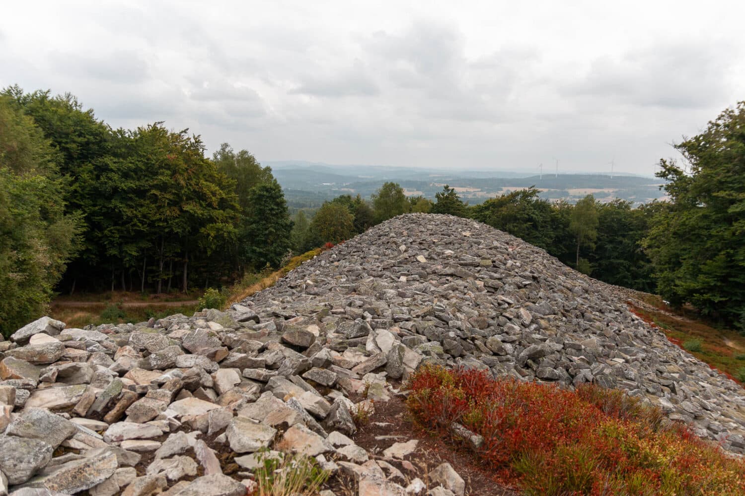 Die Traumschleife Dollbergschleife – Wandern im Nationalpark Hunsrück-Hochwald