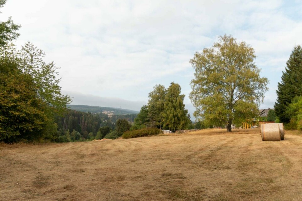 Traumschleife Dollbergschleife