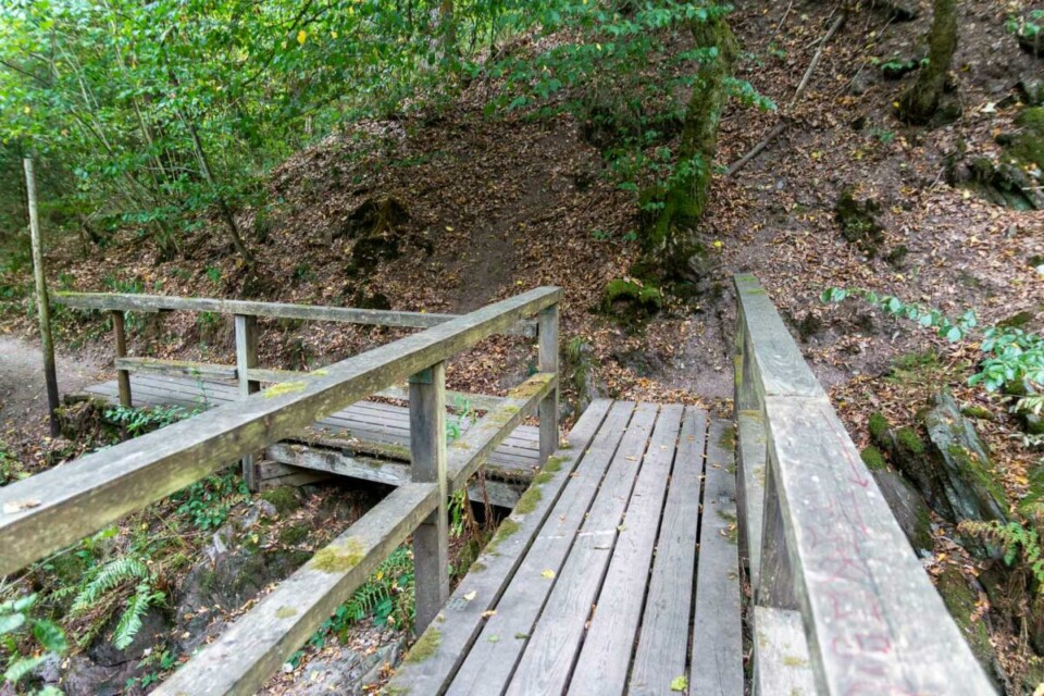 Traumschleife Dollbergschleife