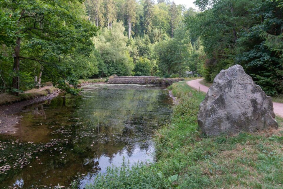 Züscher Hammer