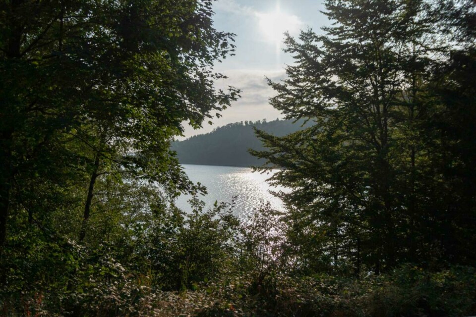 Talsperre Nonnweiler