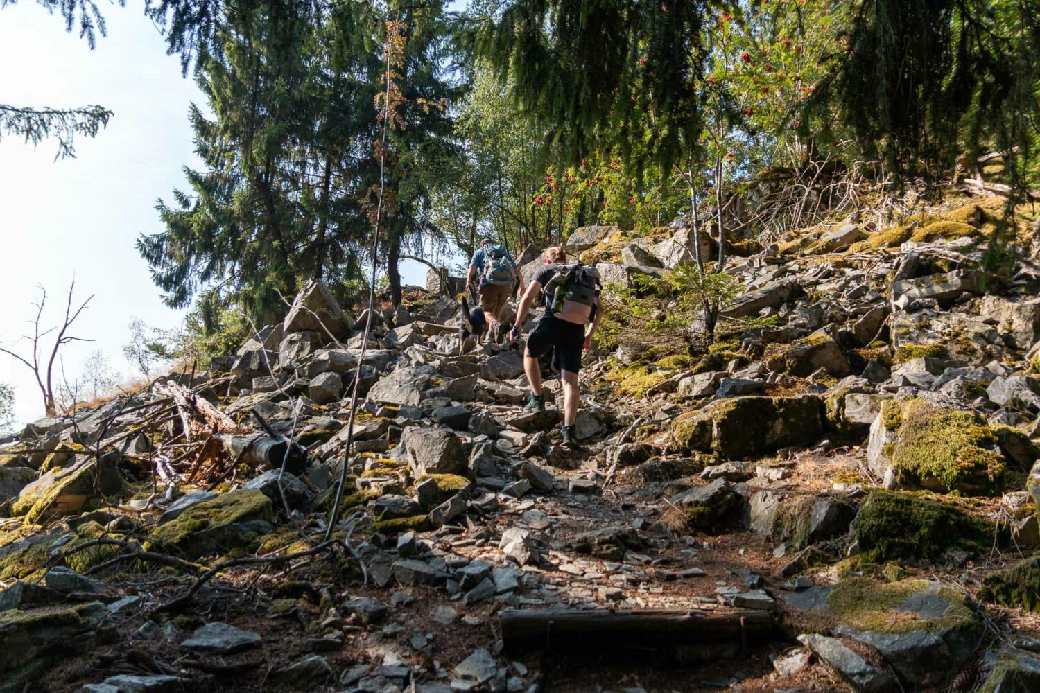 Wandern im Nationalpark Hunsrück-Hochwald und weitere Sehenswürdigkeiten