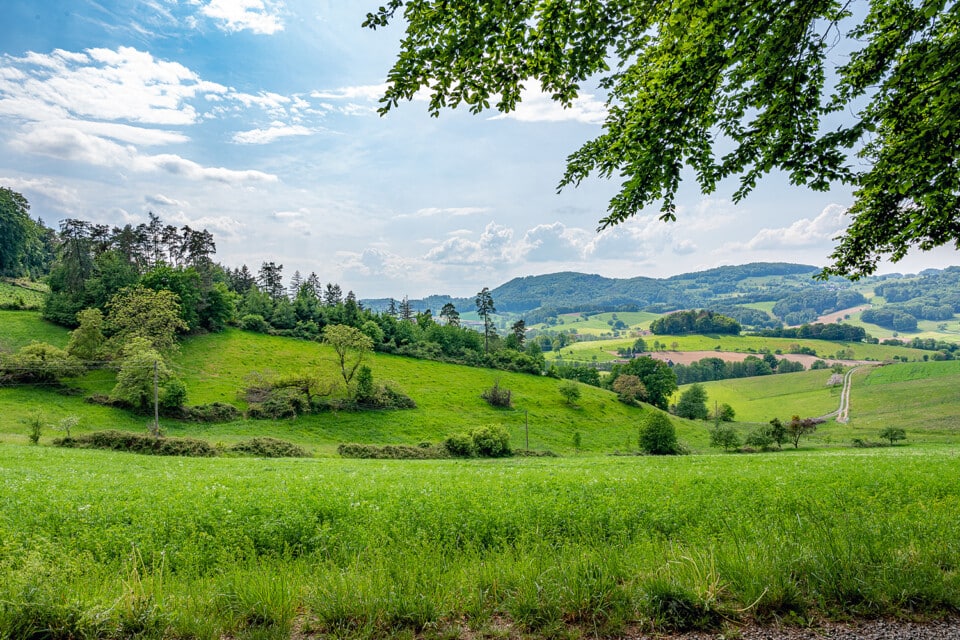 Schwarzwald