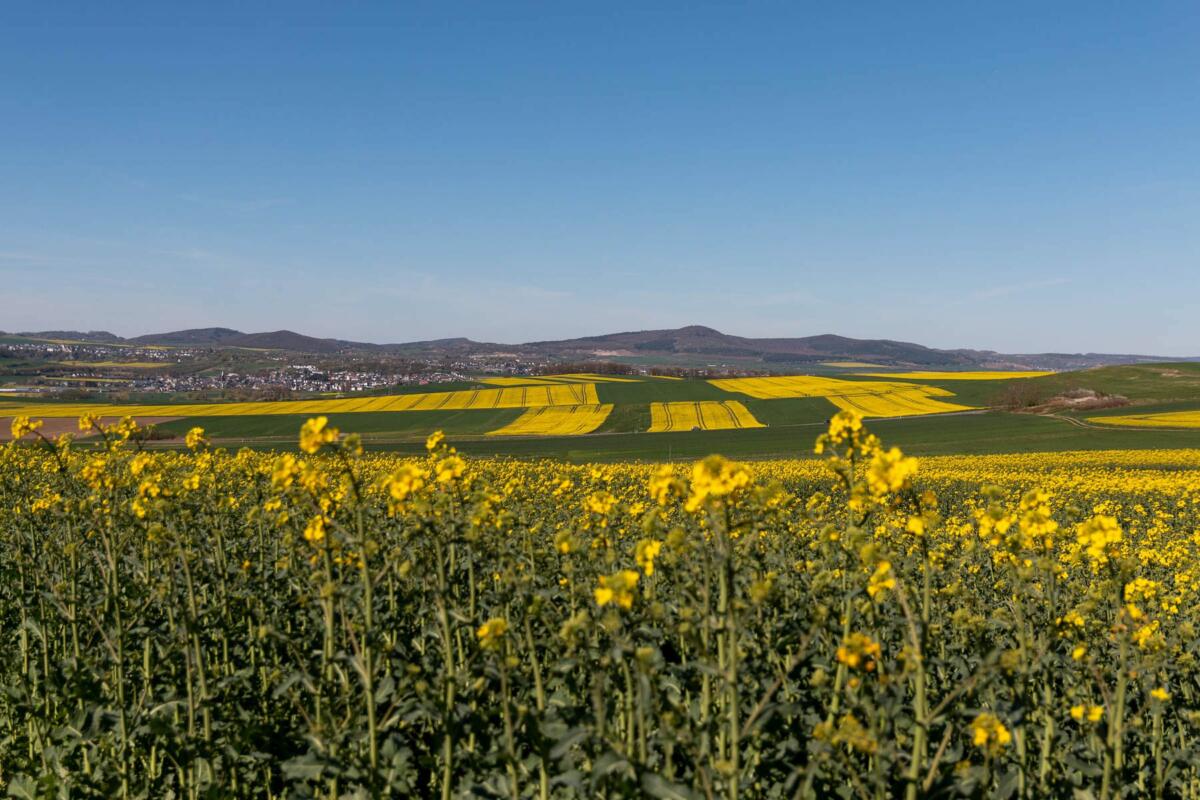 Traumpfad Nette-Schieferpfad mit Verlängerung ab Trimbs