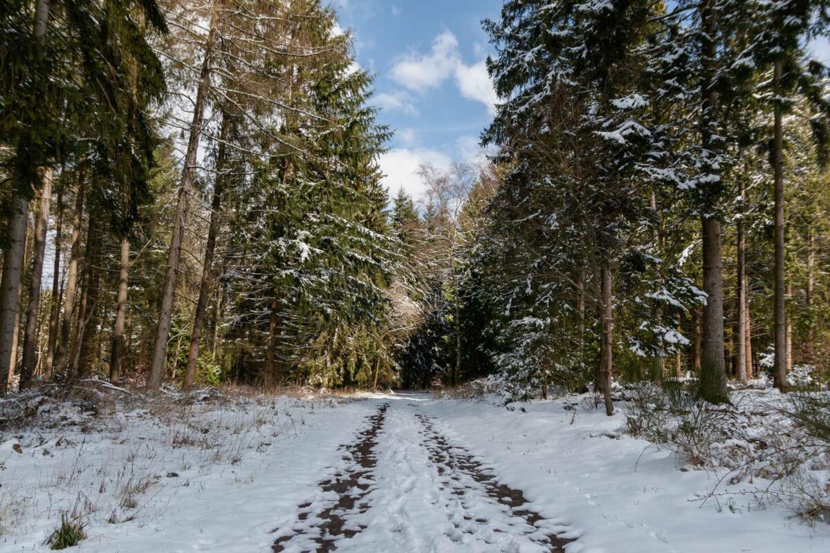 Wandern auf dem 2-Täler-Weg in Kesternich (Simmerath)