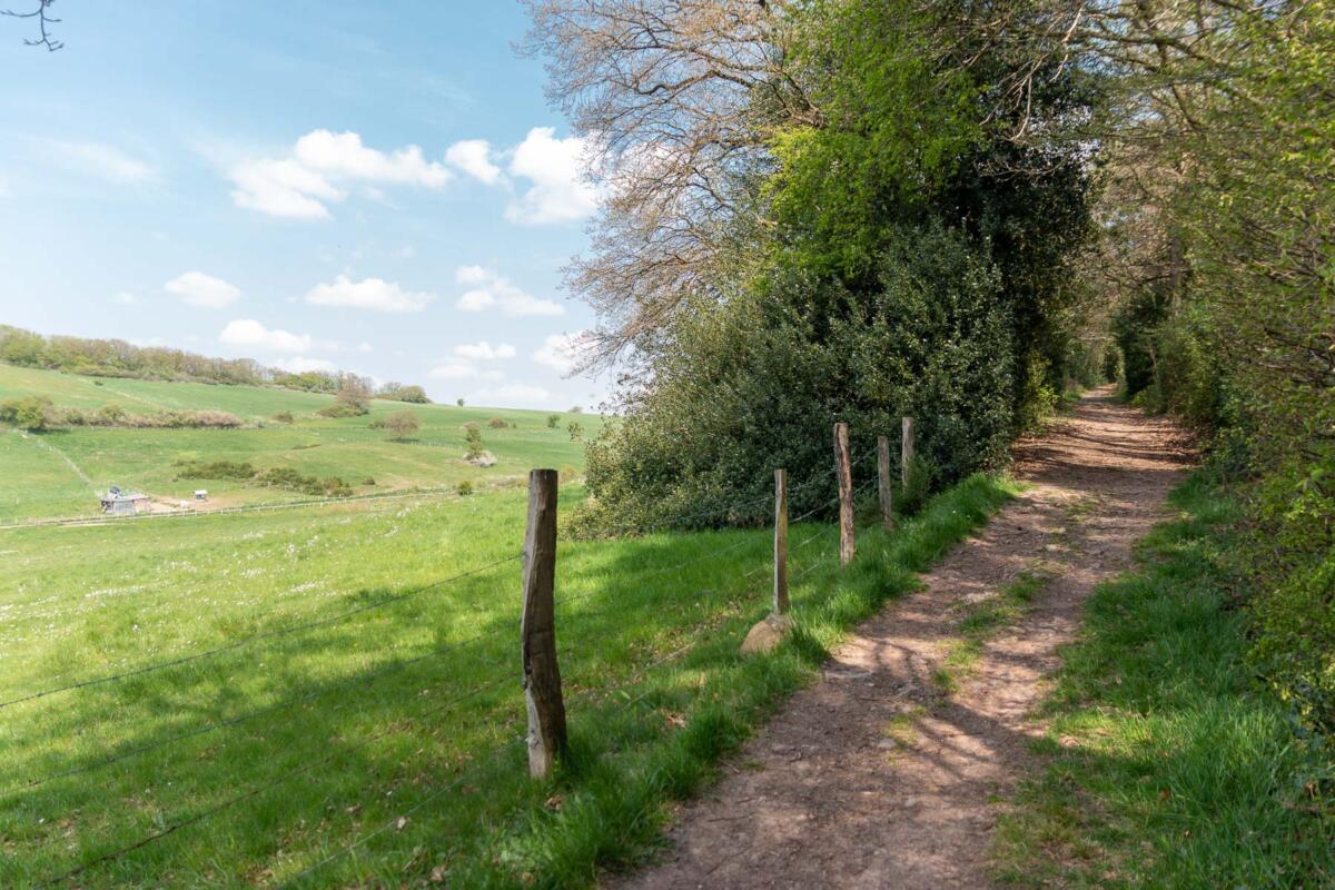 Wandern auf dem Lehmjöres-Weg (rund um Vicht) in der Eifel