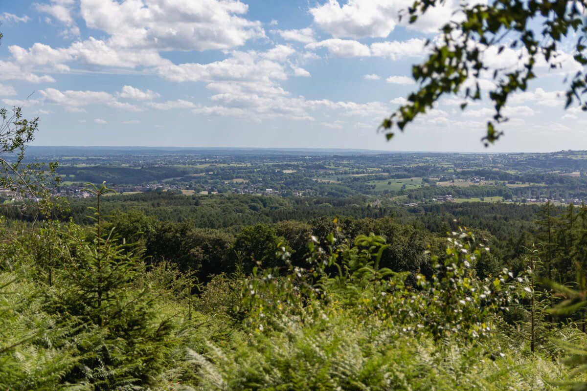Mr. Pfade Abenteuertour Moresnet-Chapelle – Wandern durch den belgischen Urwald