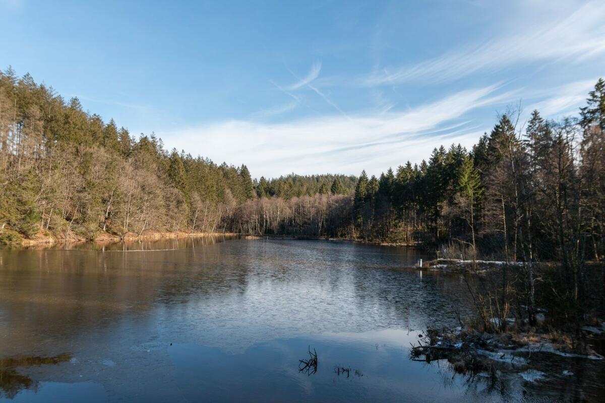 Wandern auf der Struffeltroute in der Nordeifel