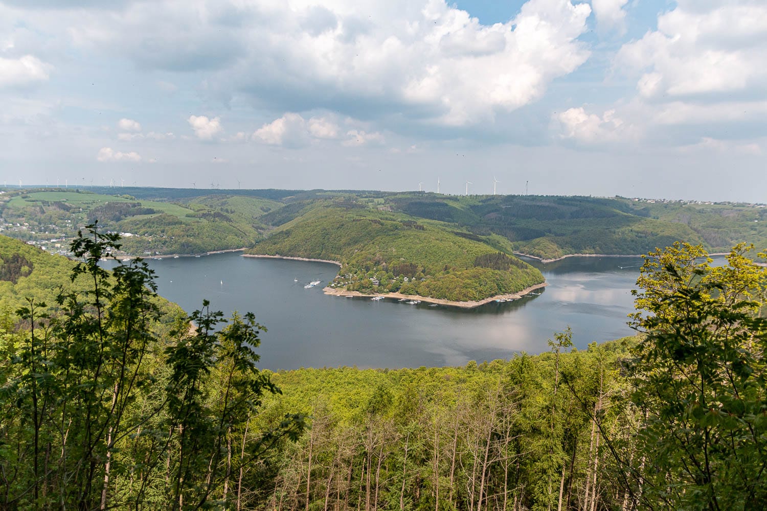 3-Seen-Runde – Wandern auf dem Wilden Kermeter in der Eifel
