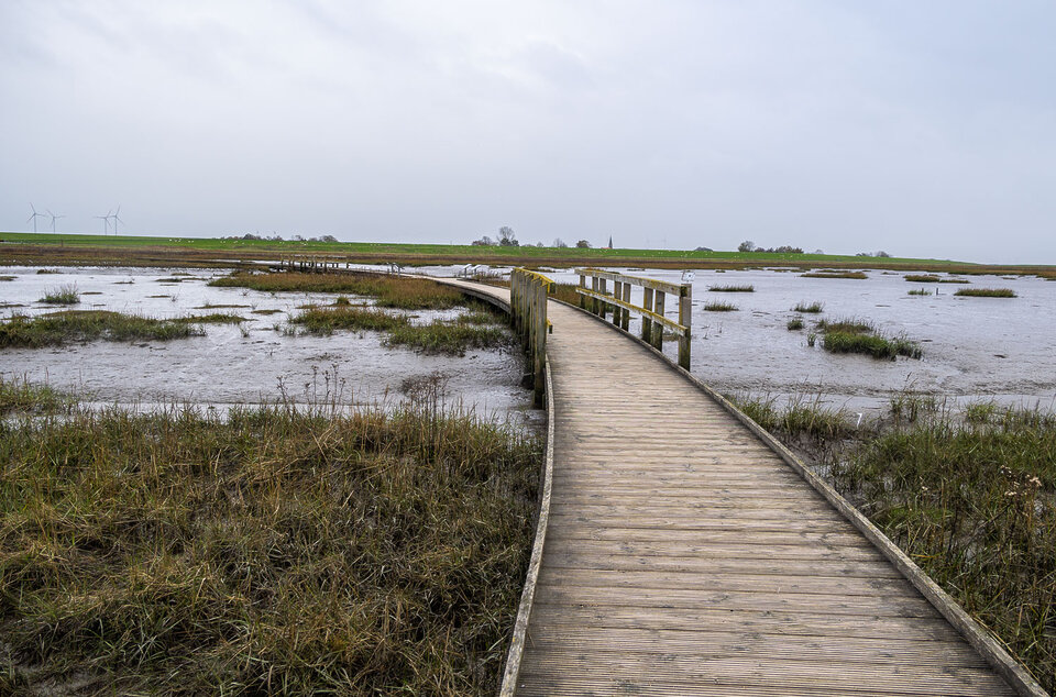 nilsa-travels_langwarder-groden-butjadingen-9