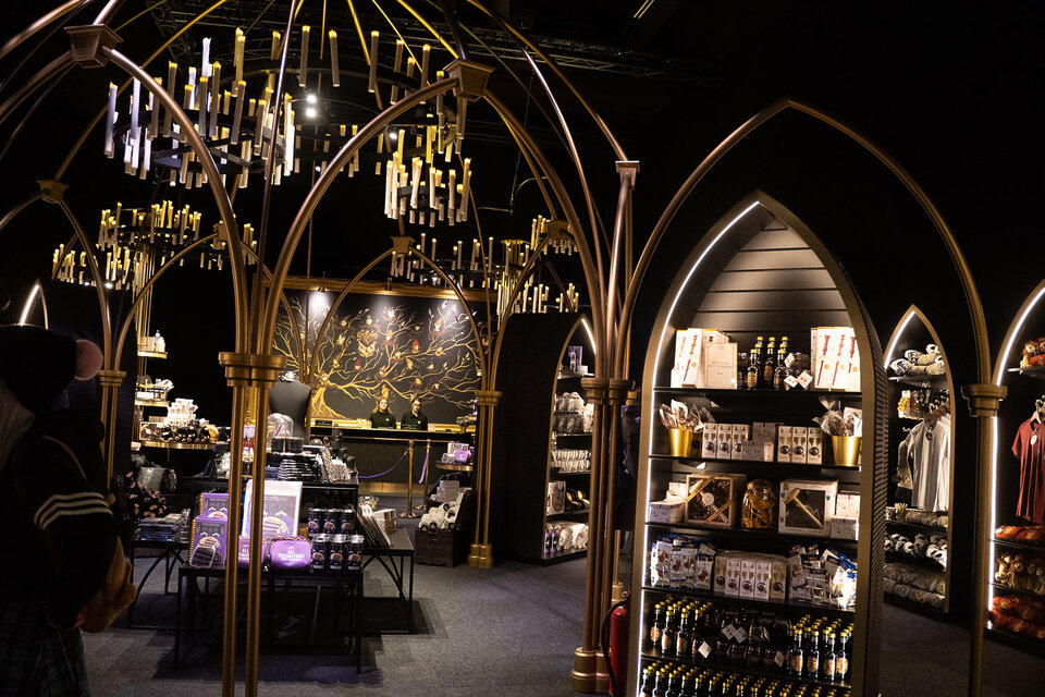 Harry Potter Visions of Magic die interaktive Experience