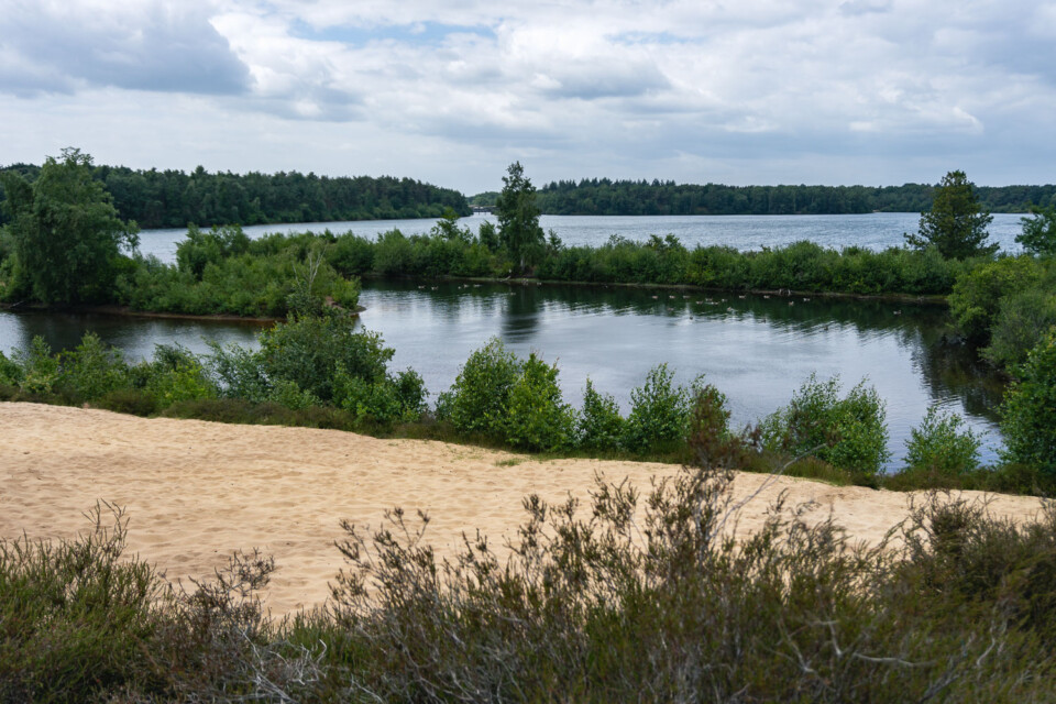 Nationalpark De Maasduinen – Wandern im Naturschutzgebiet bei Venlo