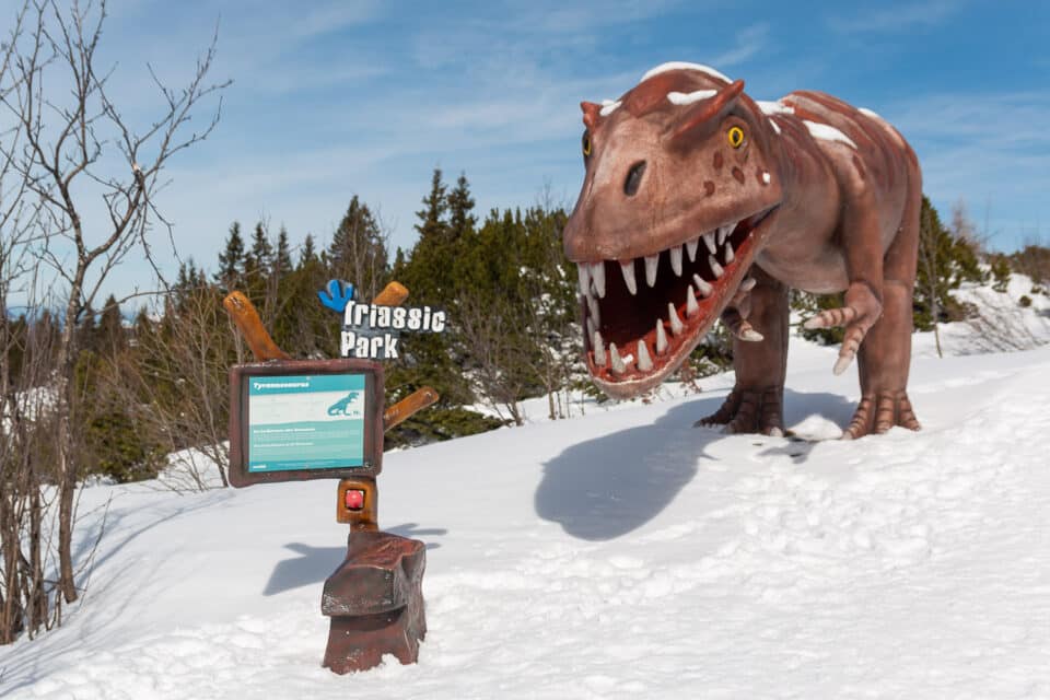 Triassic Park an der Steinplatte Waidring