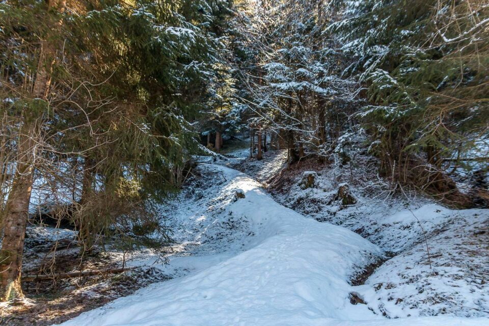 Wanderweg zum Lauchsee